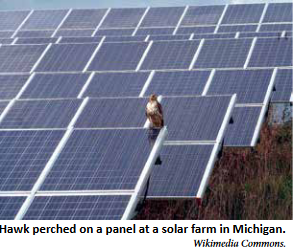 solar farm