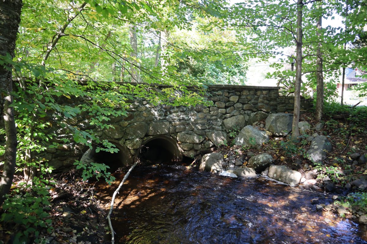 image-20231211131619-1
