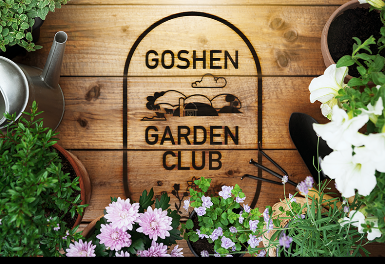 The Goshen News - Staff Photo - Create Article